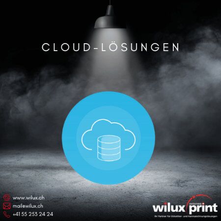 Symbol einer Cloud, das die Loftware NiceLabel Cloud-Lösungen darstellt. Geeignet für Unternehmen, die Flexibilität, Remote-Zugriff und einfache Skalierbarkeit benötigen.