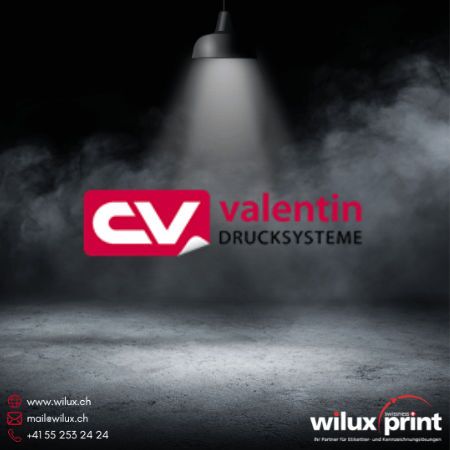 Carl Valentin-Logo, ein renommierter Anbieter von industriellen Etikettendruckern nach Marken, der für Präzision und Zuverlässigkeit bekannt ist.