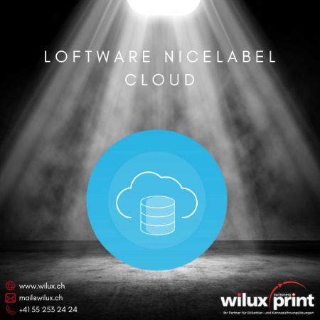 Symbol einer Wolke mit Datenbanksymbol unter einem Spotlight, das die cloudbasierte automatisierte Etikettendruck Software Loftware NiceLabel Cloud darstellt.